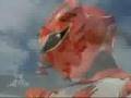 animal sprits