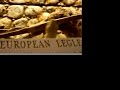 Legless Lizard Plays Hide and Seek!