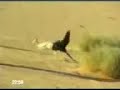 صقر يصيد غزال  deer
