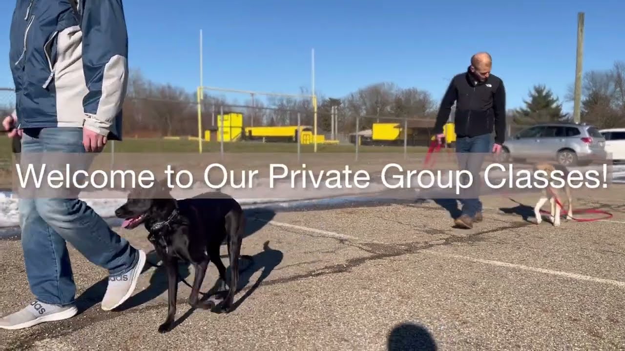 Dog Obedience Group Training Classes in Akron, Ohio