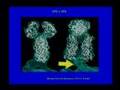 Proteins: Assemblies in Action