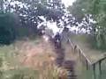 videos de will biking the stairs
