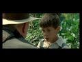 La lengua de las mariposas (ciclo de cine) La lengua de las mariposas (ciclo de cine)
