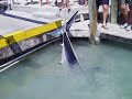 these guys are the best in the business, they're hunters! i will use them every time i go deep sea fishing! call'm 305-522-3883 kudos to the reel mccoy, captain george, first mate - kiki, and second mate - t.j.
http://www.thereelmccoycharters.com