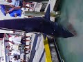 these guys are the best in the business, they're hunters! i will use them every time i go deep sea fishing! call'm 305-522-3883 kudos to the reel mccoy, captain george, first mate - kiki, and second mate - t.j.
http://www.thereelmccoycharters.com
