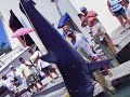 these guys are the best in the business, they're hunters! i will use them every time i go deep sea fishing! call'm 305-522-3883 kudos to the reel mccoy, captain george, first mate - kiki, and second mate - t.j.
http://www.thereelmccoycharters.com