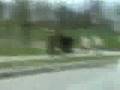 videos de bller