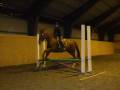 donnaevelyn.wmv