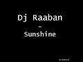 Dj Raaban - Sunshine
