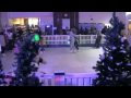 Pirton Hill ice skating November 2009