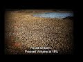 Traveston Dam-TV Commercial