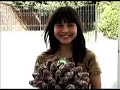 franquicia de baja inversion.mpg