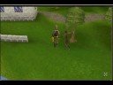 Tightrope glitch