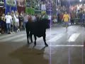 Bous al carrer, calpe 2008 Bous al carrer, calpe 2008