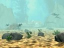 rakka animation