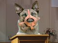 Dumb Dogs and the IRS