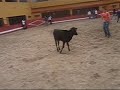 Vachette Vachette