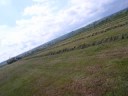 ensilage d\