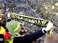 hsdo-bvb-handball-damen-in-frankfurt-oder.html