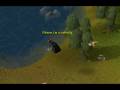 videos de runescape cannon rap