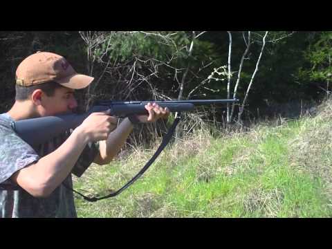 Stevens model 300 .22lr