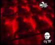 APOSTOLIA ZOI -KRIMA - ΑΠΟΣΤΟΛΙΑ ΖΩΗ - ΚΡΙΜΑ