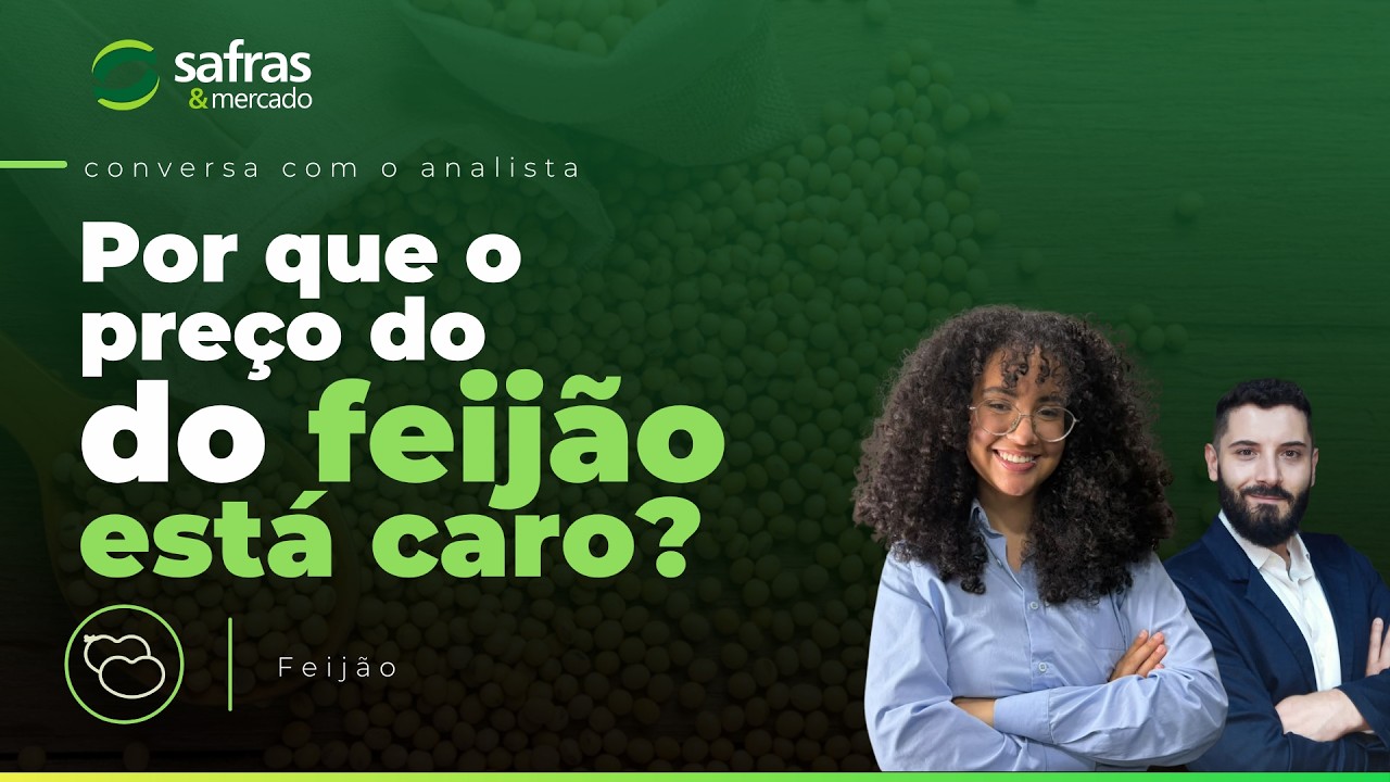 Mercado do feijão tem preços elevados e desafios na comercialização