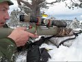 langholsskyting,long range,selvanviser