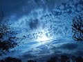 La nature s\ La nature s\