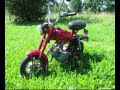 Pony 60m2 Simsorynka by Adi.G.