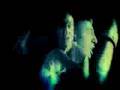 ska_p crimen sollicitationis