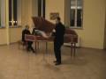 G. F. Handel - Sonata for flute and b.c. in G major (voice flute)
