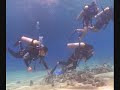 Buceo en Sharm El Sheik (EGIPTO) Parte 2