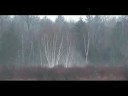 Michigan Fog 2 Silent