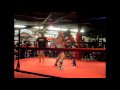 San Shou / San Da / Muay Thai kickboxing