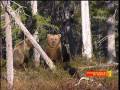 videos de Finlande, Au rythme  des saisons.mpg