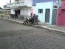 videos de homem do leite