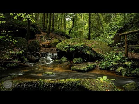 Adyashanti Video: The Desire For Enlightenment IS the First Sign of Enlightenment Itself