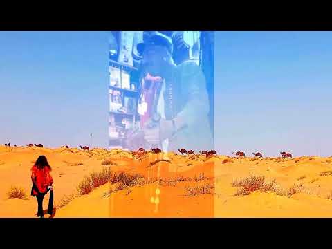 'Ethno-musique traditionnelle au Sahara' avec Nicole Coppey