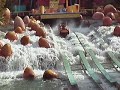 ripsawfalls.AVI ripsawfalls.AVI