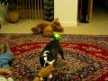 Bodhi Spin Catches.AVI