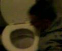 CLARKSON SHOUTIN N LYIN ONY PUB TOILET FLER