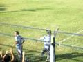 videos de Gol de Trejo de penal