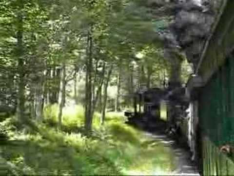 Our Trip to Cass - August 2007, Part II