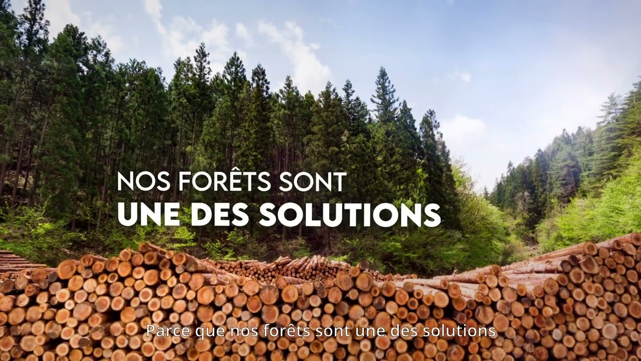 🌳 « Le bois, les forêts, et nous ! »