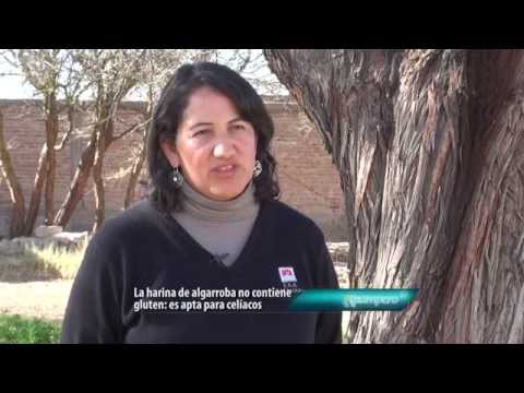 Imagen de previsualización de YouTube