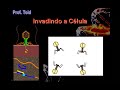 biologia-v-rus-parte-02-prof-toid-.html