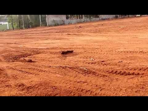 Land For Sale Shirva