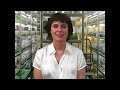  diet weight loss secret healthy tips clinical nutrition radhia gleis psychetruth natruopathic fitness beauty