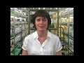 Diet Weight Loss Secret Healthy Tips - Clinical Nutrition